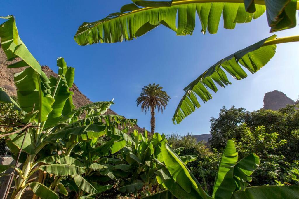 Vivienda Vacacional La Finca Los Palmitos Exteriér fotografie